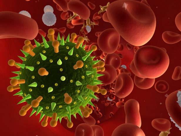 3d rendered illustration of streaming blood with influenza viruses