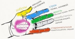 Наименование пальцев на руке человека с картинками