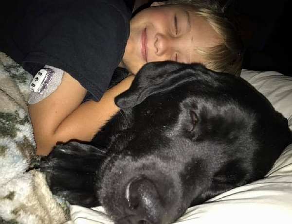 Собака спасла своего маленького хозяина